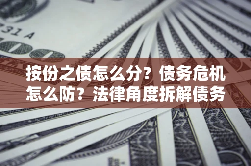 武汉按份之债怎么分？债务危机怎么防？法律角度拆解债务分配与风险自保指南