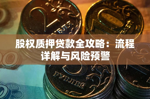 武汉股权质押贷款全攻略：流程详解与风险预警