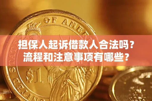 武汉担保人起诉借款人合法吗？流程和注意事项有哪些？