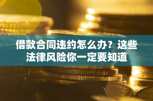 武汉借款合同违约怎么办？这些法律风险你一定要知道