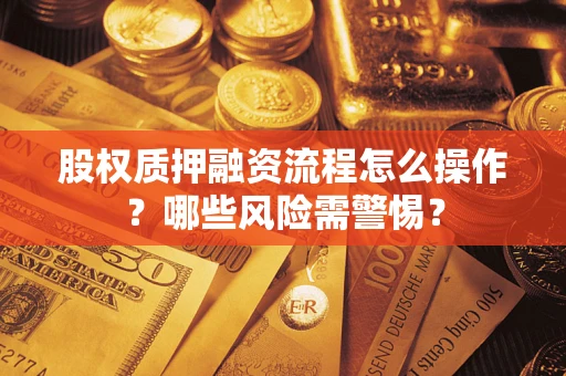 武汉股权质押融资流程怎么操作？哪些风险需警惕？
