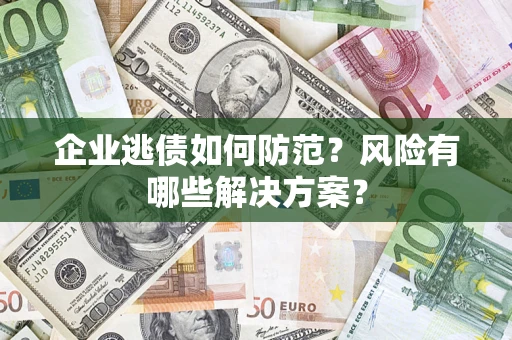 武汉企业逃债如何防范？风险有哪些解决方案？