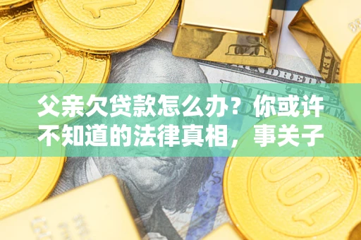 武汉父亲欠贷款怎么办？你或许不知道的法律真相，事关子女未来