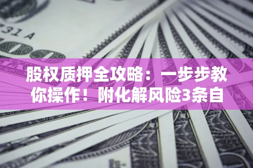 武汉股权质押全攻略：一步步教你操作！附化解风险3条自救法则