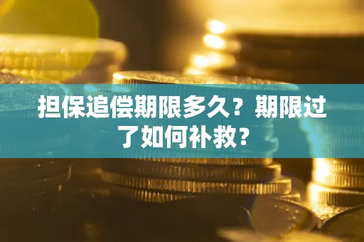 武汉担保追偿期限多久？期限过了如何补救？