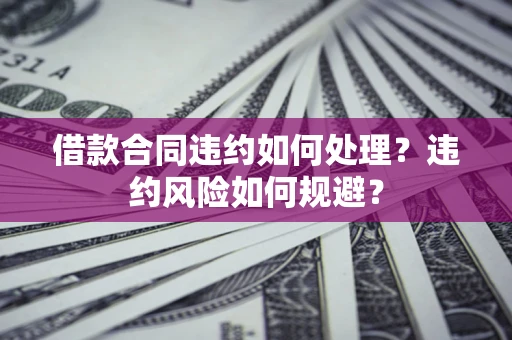 武汉借款合同违约如何处理？违约风险如何规避？