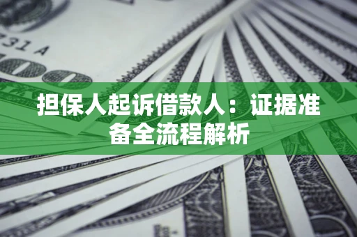 武汉担保人起诉借款人：证据准备全流程解析