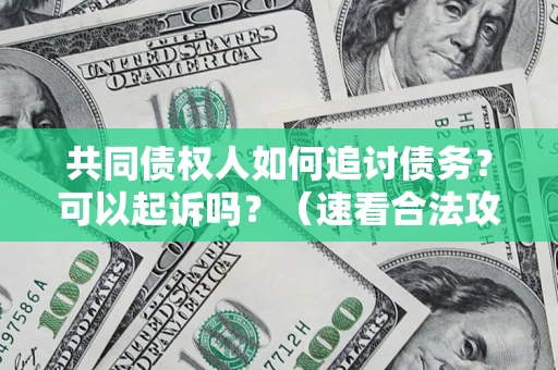 武汉共同债权人如何追讨债务？可以起诉吗？（速看合法攻略）