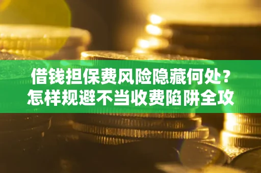 武汉借钱担保费风险隐藏何处？怎样规避不当收费陷阱全攻略！