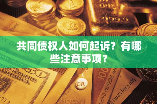 武汉共同债权人如何起诉？有哪些注意事项？